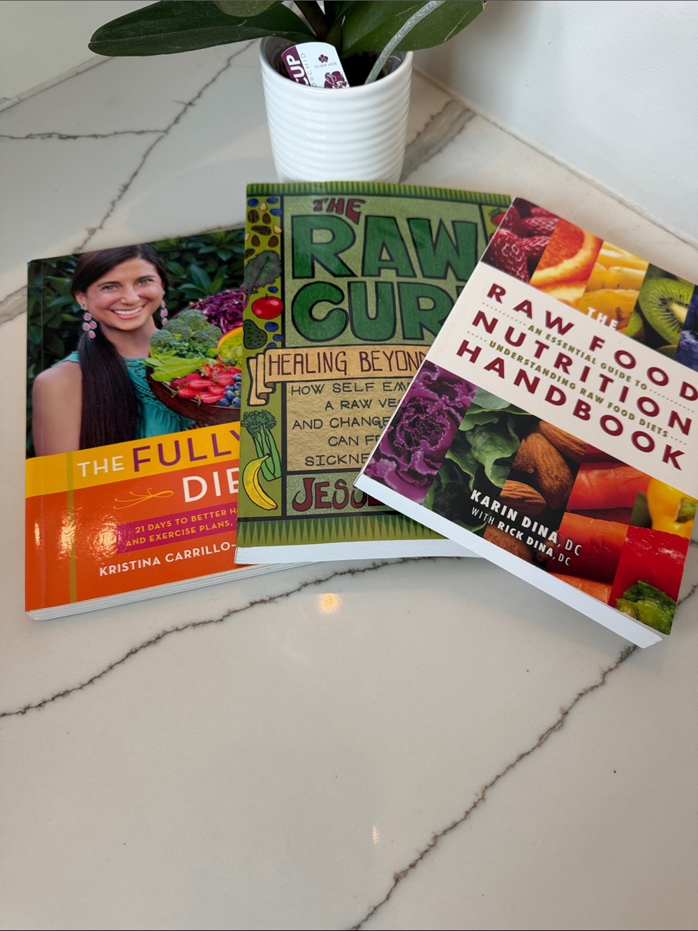 Assorted Raw Food & Wellness Recipe Books - Green, Orange, White Covers